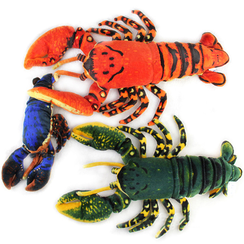 Aquarium Marine Park - مقلد الحيوان جراد البحر Palinuridae الروبيان