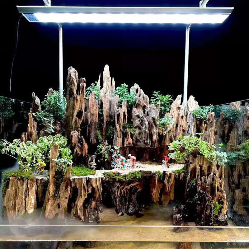 Marine Aquarium All In One - ديكور خشبي لحوض السمك، خشب طافي