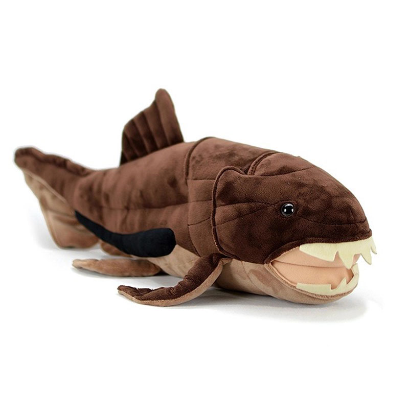 Aquarium Marine Park - Dunkleosteus Terelli Dunkle الأسماك البحر المحيط
