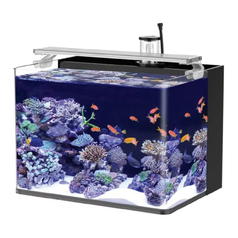 Marine Aquarium All In One - حوض سمك منحني للمياه المالحة لغرفة