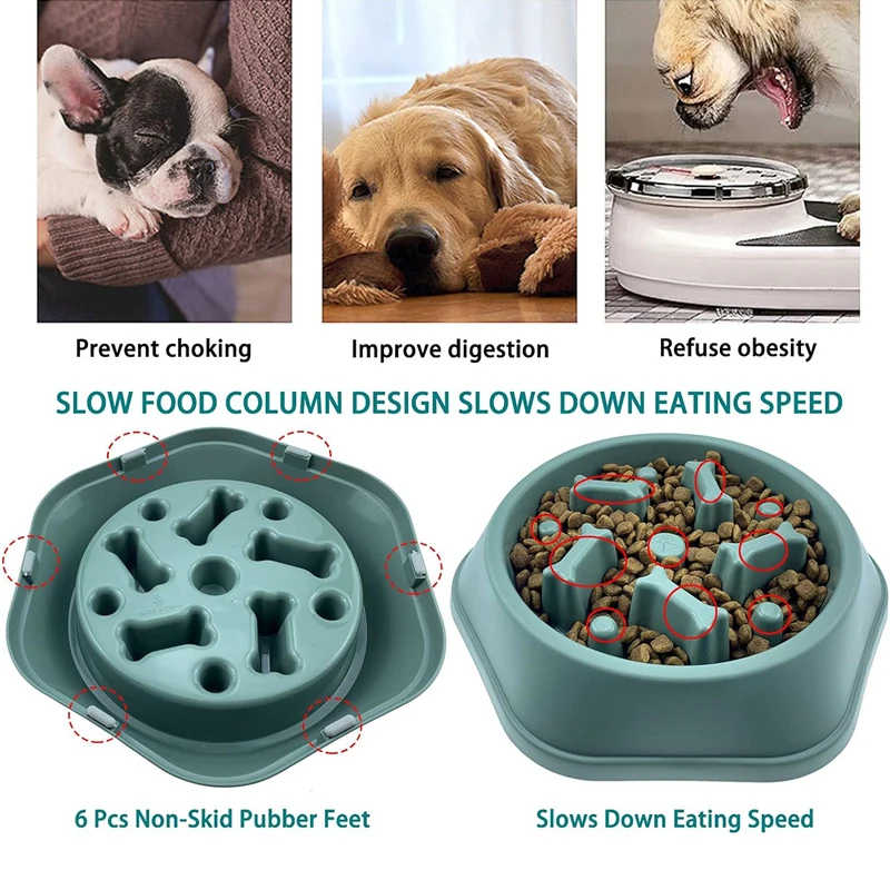 وعاء طعام جديد للكلاب بطيء الت - مراجعة Royal Canin Food Medium وسعره