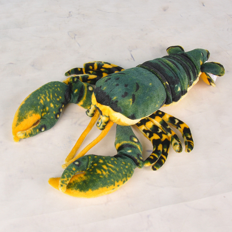 مقلد الحيوان جراد البحر Palinu - مراجعة Aquarium Marine Park وسعره