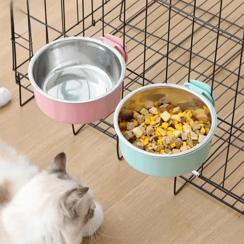 وعاء طعام وماء للكلاب، كوب تغذ - مراجعة Royal Canin Food Medium وسعره