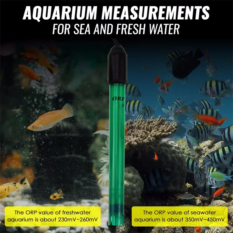 مسبار قطب كهربائي احترافي ORP  - مراجعة Marine Aquarium Par Meter وسعره