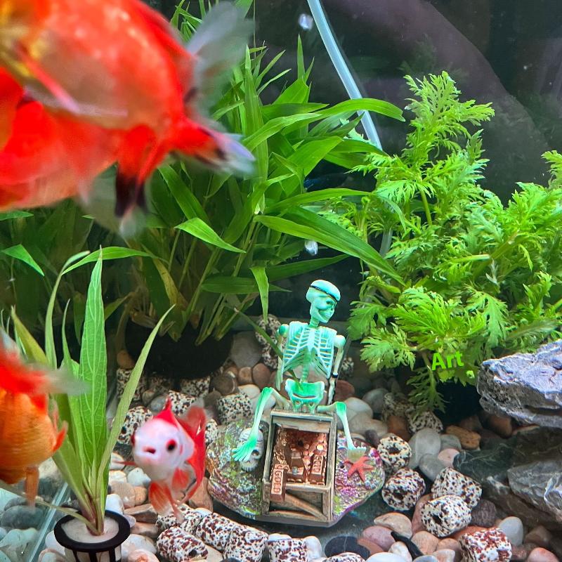 خزان الأسماك المناظر الطبيعية  - مراجعة Marine Aquarium All In One وسعره