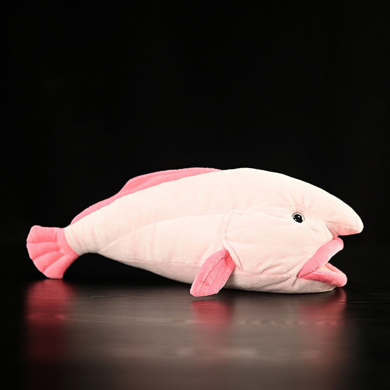 محاكاة الحيوان Blobfish البحر  - مراجعة Aquarium Marine Park وسعره