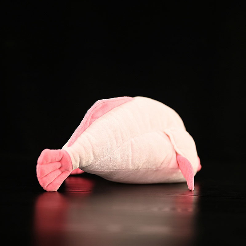 محاكاة الحيوان Blobfish البحر  - مراجعة Aquarium Marine Park وسعره