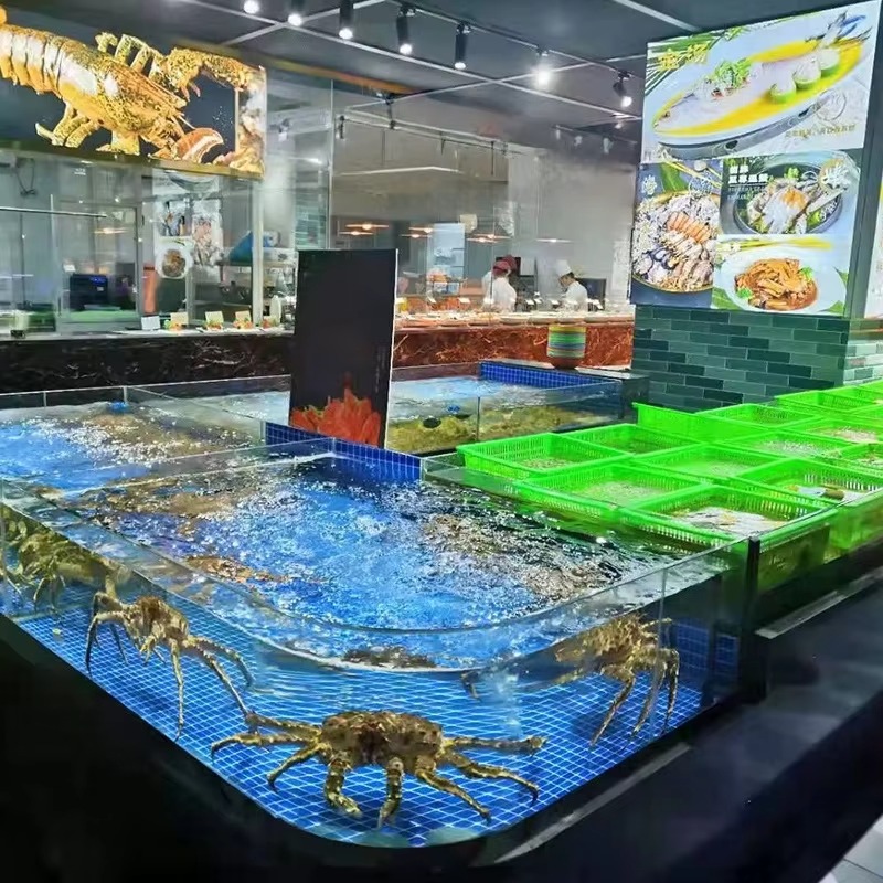 حوض سمك مربع الشكل من الزجاج ل - مراجعة Marine Aquarium All In One وسعره