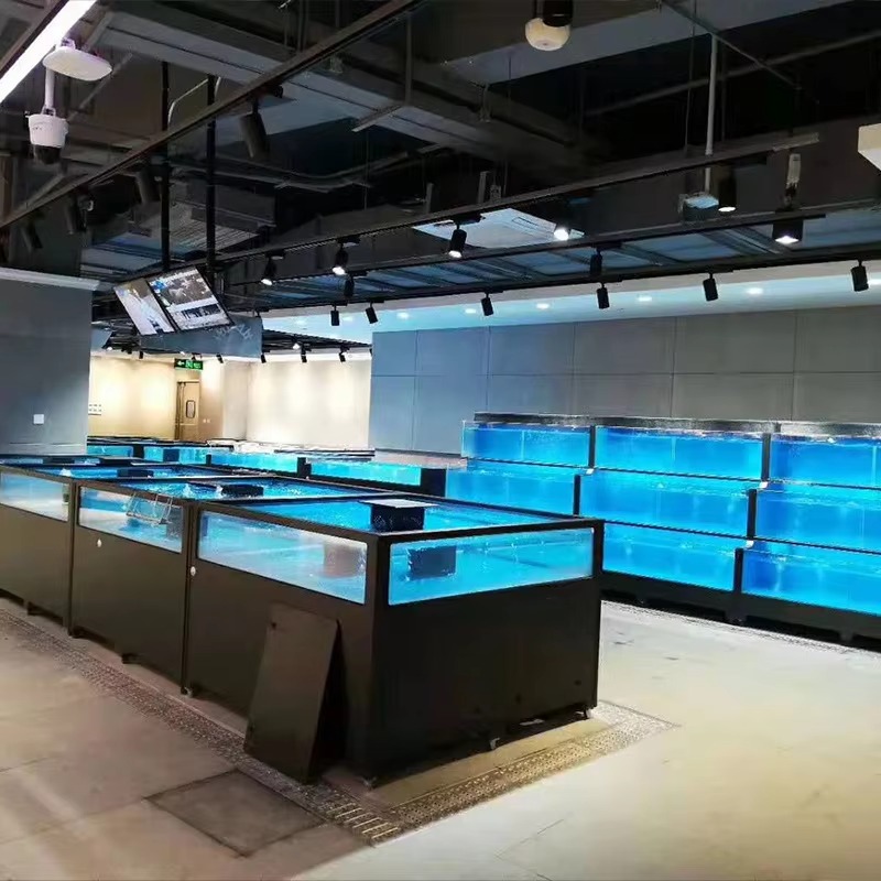 حوض سمك مربع الشكل من الزجاج ل - مراجعة Marine Aquarium All In One وسعره