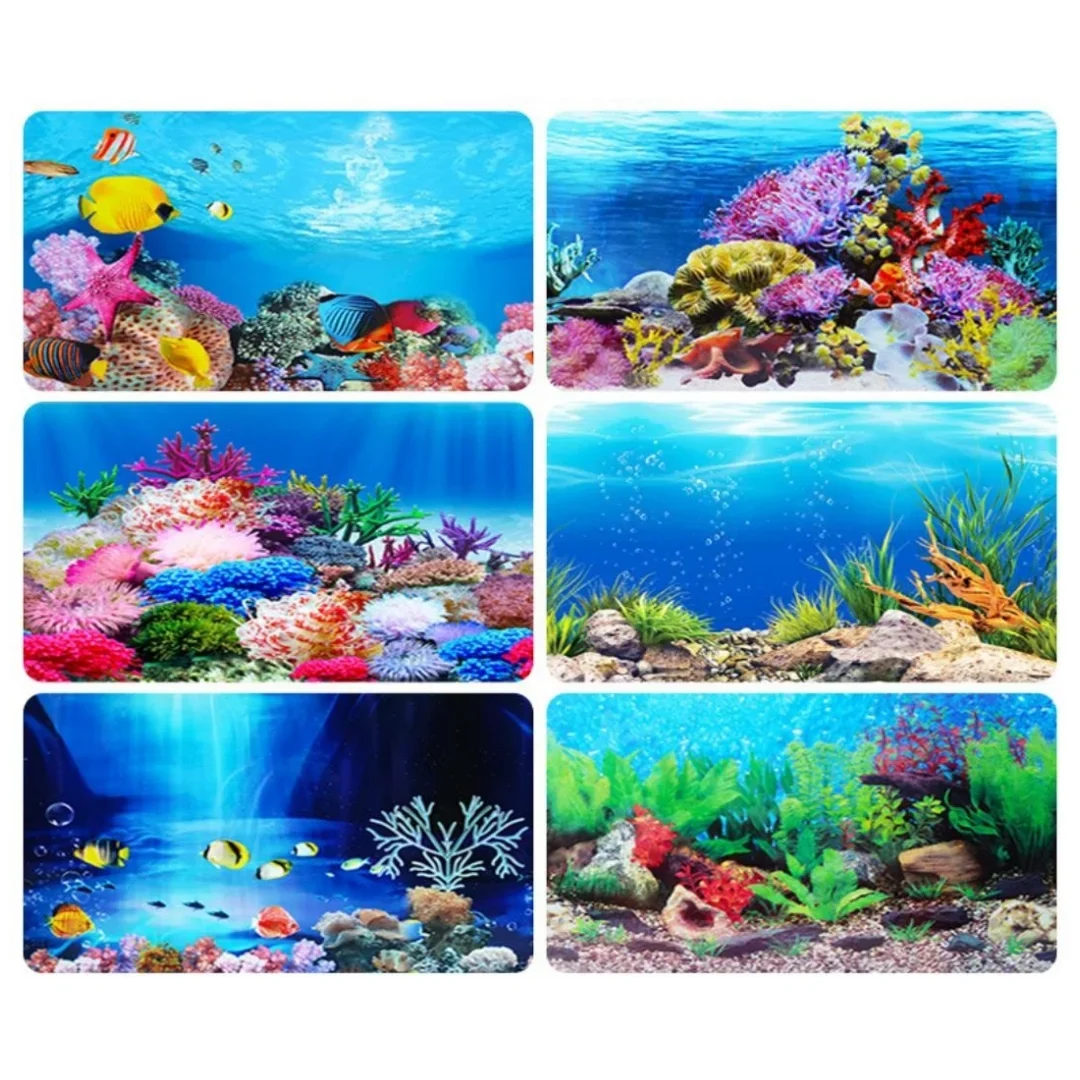 خلفية حوض السمك ثلاثية الأبعاد - مراجعة Marine Aquarium All In One وسعره
