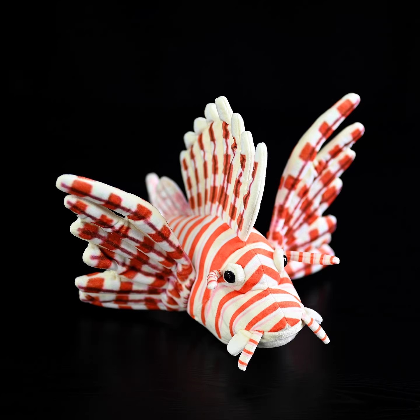 الزاحف المجنح Volitans المرجان - مراجعة Aquarium Marine Park وسعره