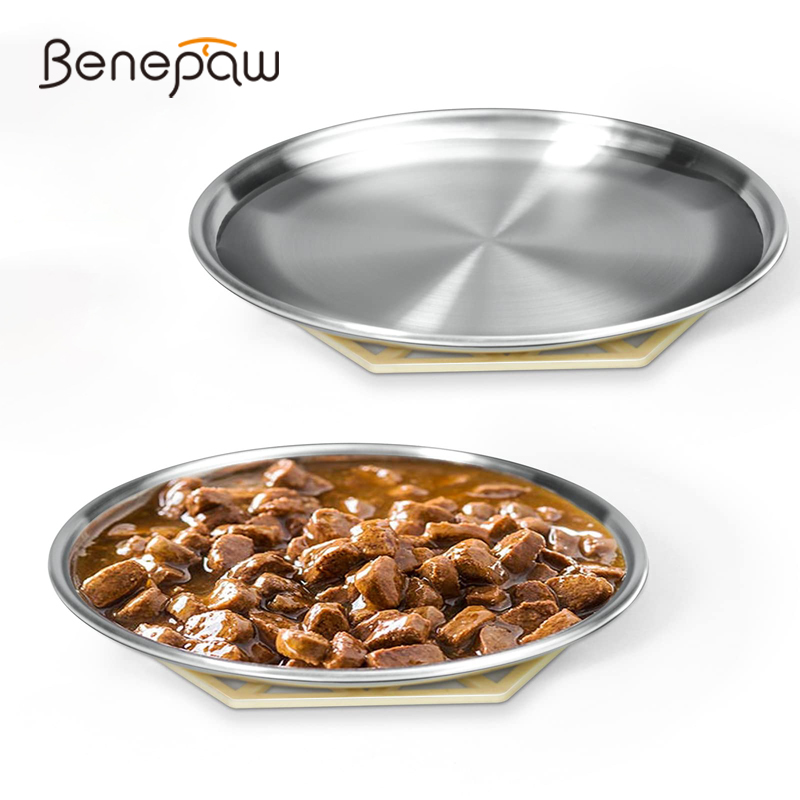 حوض للقطط الضحلة من Benepaw مص - مراجعة Royal Canin Food Medium وسعره