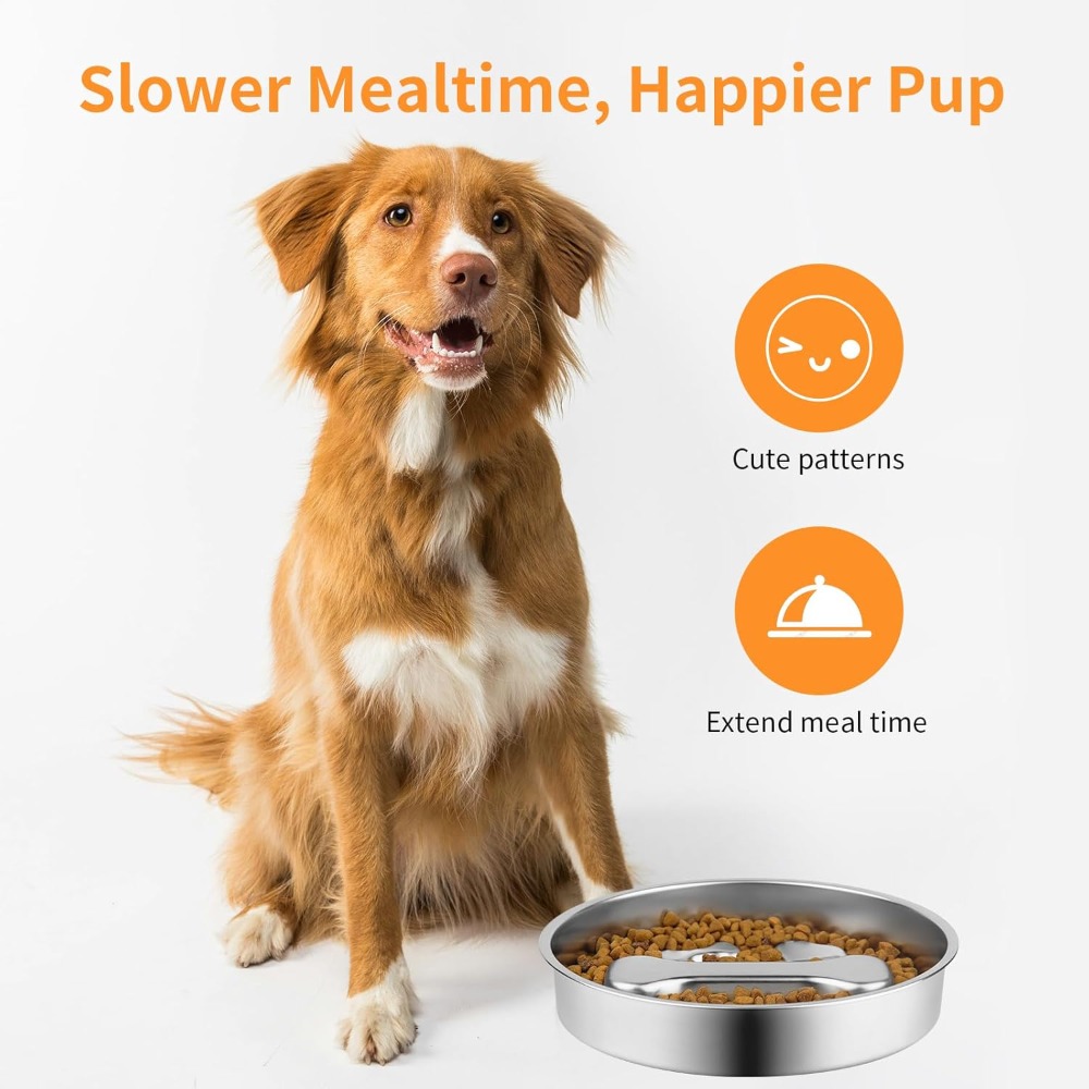 وعاء طعام للكلاب بطيء التناول  - مراجعة Royal Canin Food Medium وسعره