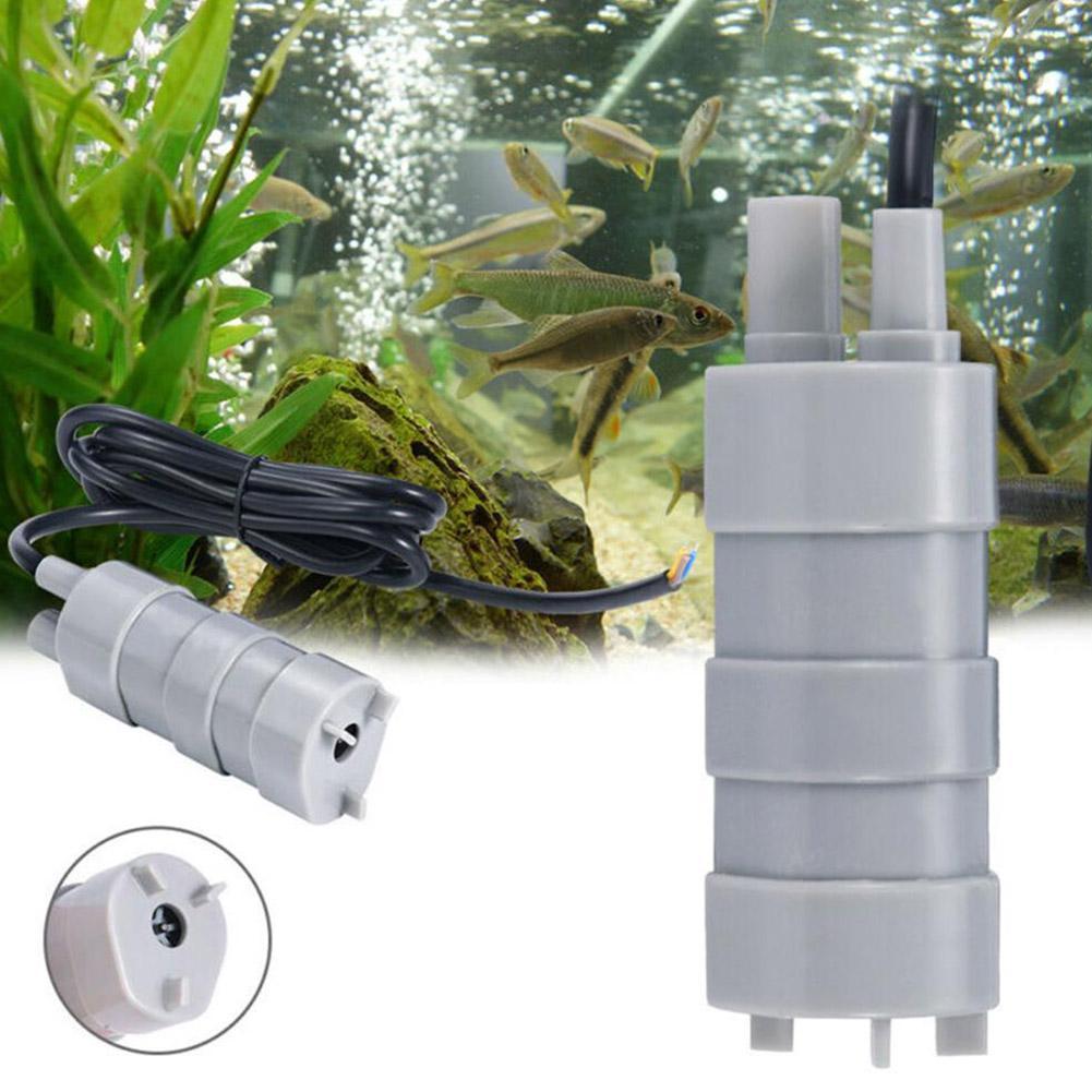 مضخة غاطسة RV 12V، تدفق عالي 1 - مراجعة Aquarium & Marine Museum Universiti Malaysia Sabah Kota Kinabalu Sabah Photos وسعره
