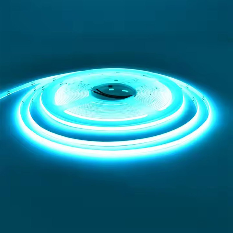 5m12V 24 فولت 3 مللي متر 5 ملل - مراجعة Aquarium Marine Park وسعره