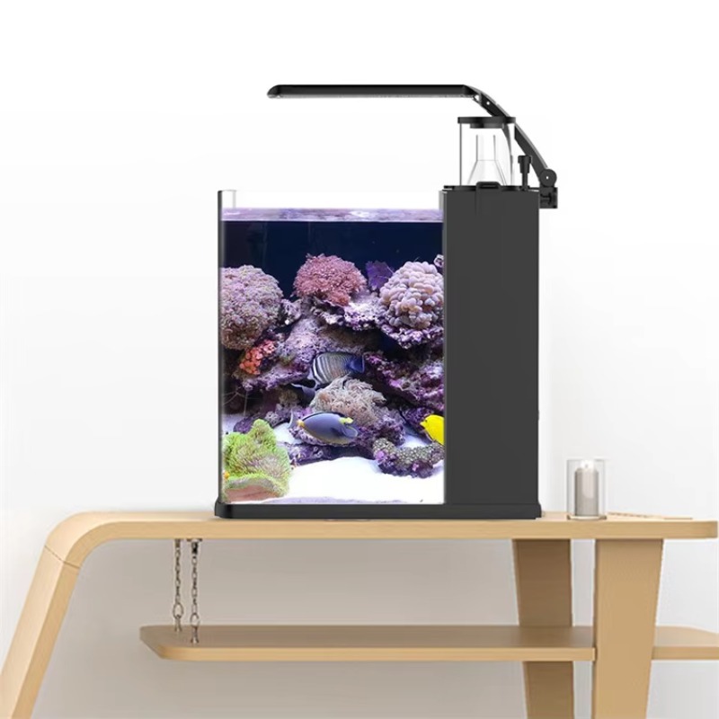 حوض سمك منحني للمياه المالحة ل - مراجعة Marine Aquarium All In One وسعره