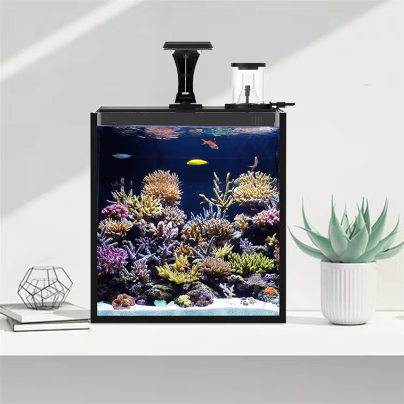 حوض سمك منحني للمياه المالحة ل - مراجعة Marine Aquarium All In One وسعره
